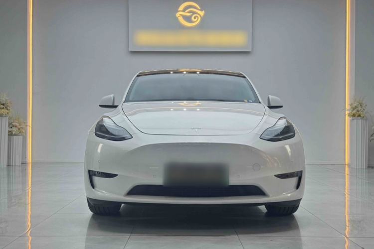 Used Tesla Model Y 2021 Performance High-Performance All-Wheel-Drive Version
