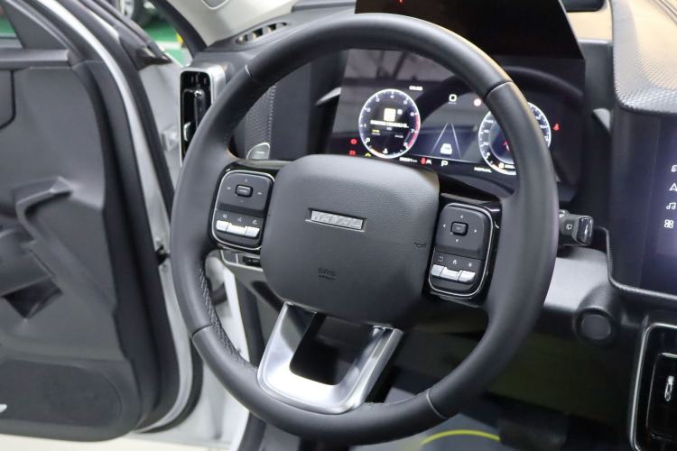 Used Haval DARGO 2021 1.5T DCT Two-Wheel Drive Border Collie Edition
