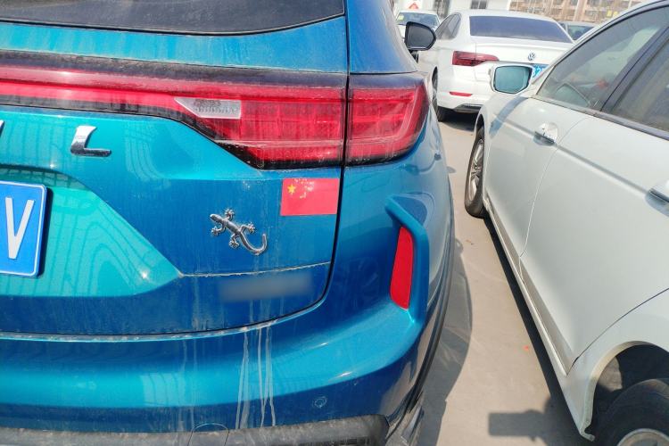 Used Haval LHERY 2021 High-Performance Version 1.5T Golden Rabbit