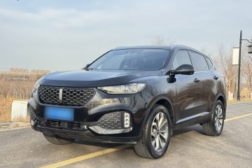 Used Wey VV6 2020 2.0T Two-Wheel Drive Smart Enjoyment+