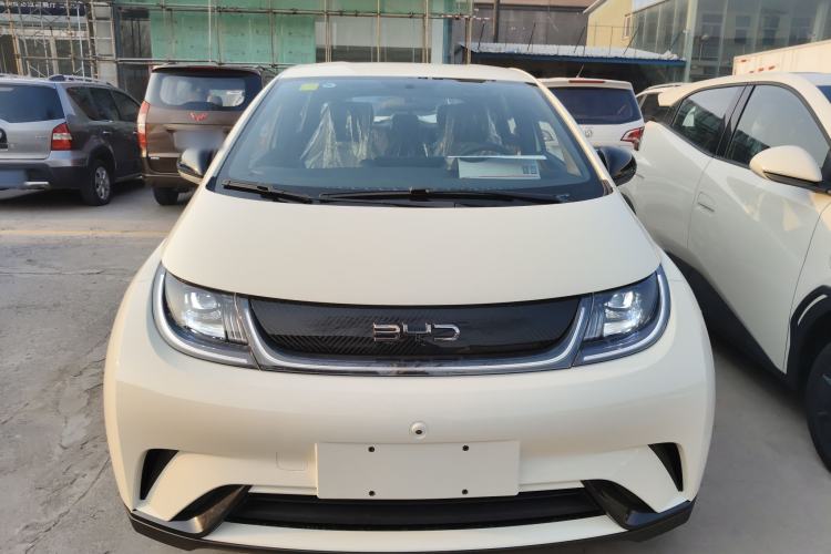 Used BYD Dolphin 2025 420km Free Edition
