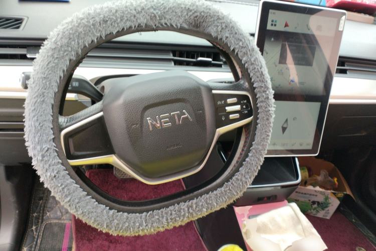 Used NETA V 2021 Standard Range Version