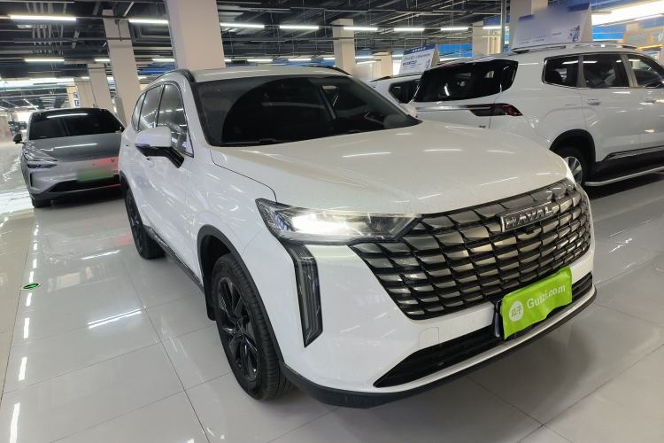 Used Haval H6 2024 1.5T Two-Wheel Drive Max
