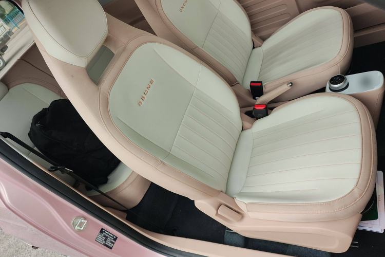 Used  Panda 2024 Panda Mini 200km Longteng PRO Edition
