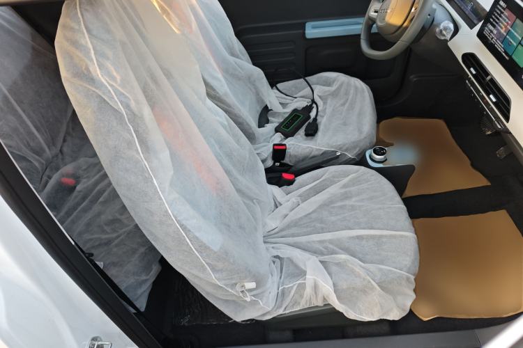 Used  Panda 2024 Panda Mini 200km Endurance Bear