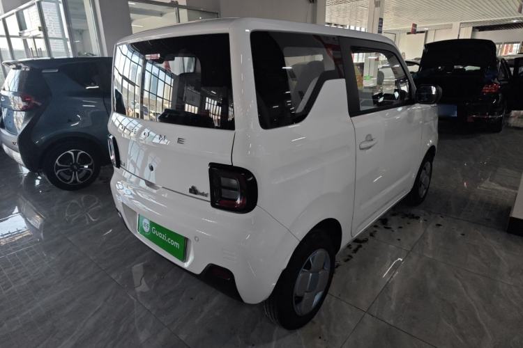 Used  Panda 2024 Panda Mini 200km Endurance Bear