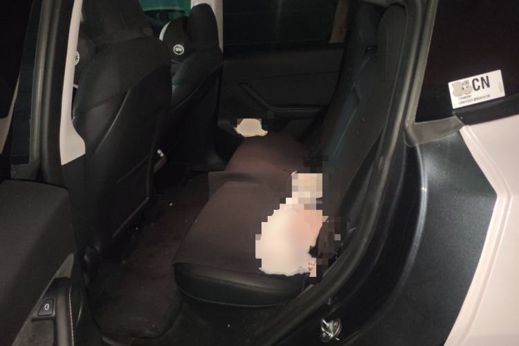 Used Tesla Model Y 2024 Rear-Wheel-Drive Version