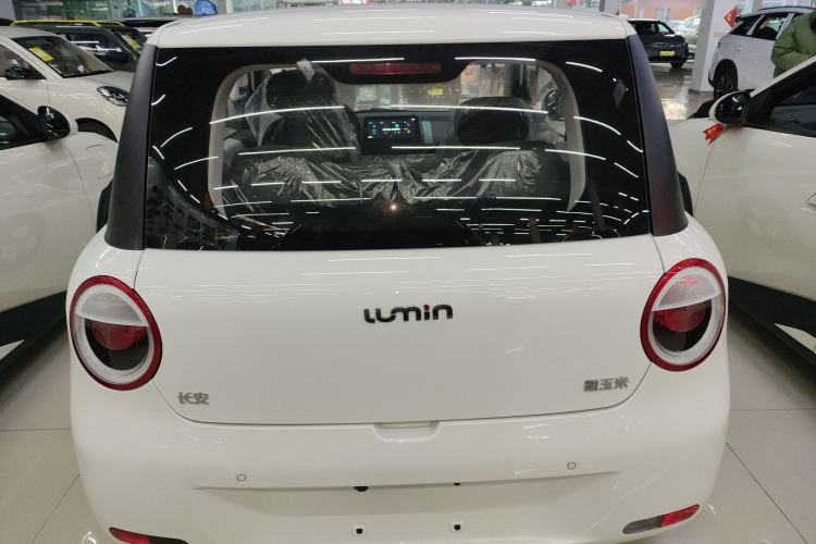 Used  Lumin 2025 205 km Xiangqin Version

