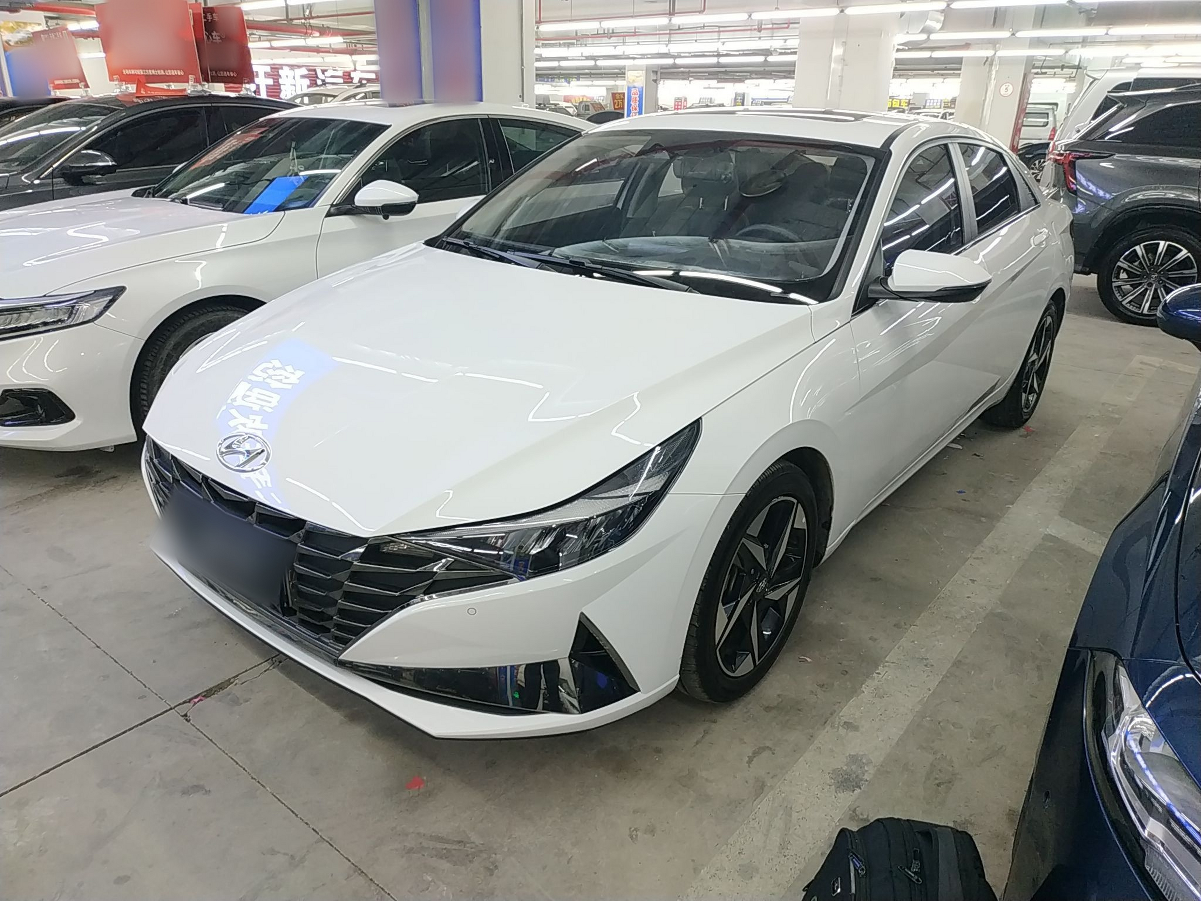 تحت مقدمة السيارة