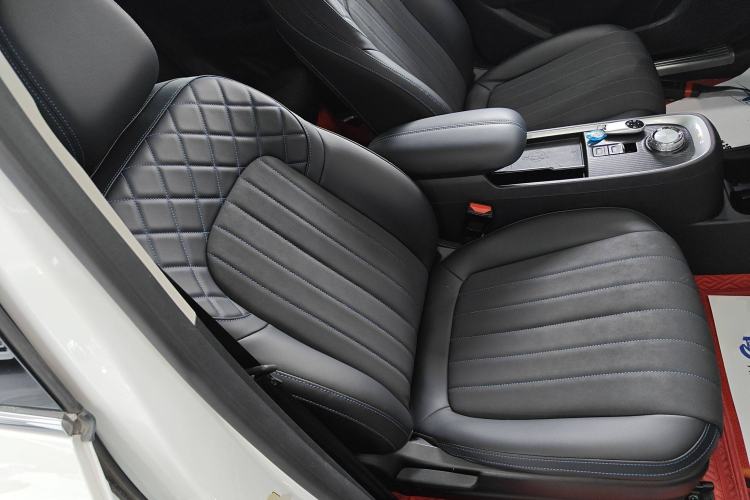 Used ORA Good Cat 2021 400km Standard Range Venus Edition Lithium-Ion Battery
