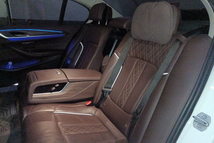 Used BMW 5 Series New Energy 2020 530Le Luxury Package