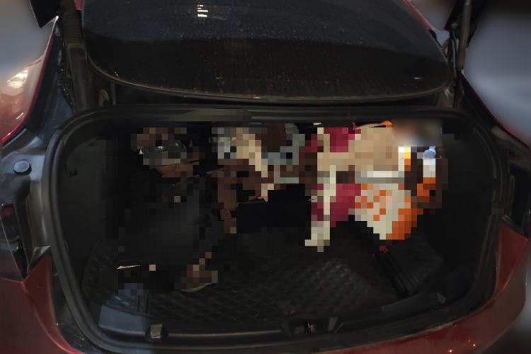 Used Tesla Model 3 2021 Standard Range Rear-Wheel Drive Upgraded Version 3D6
