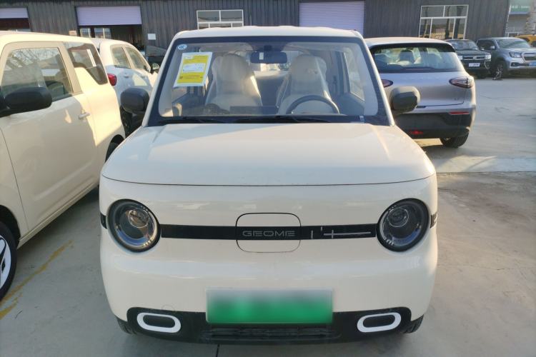 Used  Panda 2025 210 km – Yuanqi Bear
