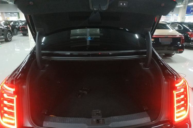 Used Hongqi H9 2022 2.0T Smart Connect Flagship Edition