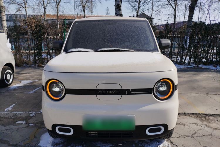 Used  Panda 2025 210 km – Yuanqi Bear
