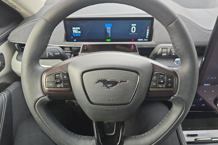 Used Ford Mustang Mach-E 2021 AION Y Plus Rear-Drive Luxury Edition (Long Range)