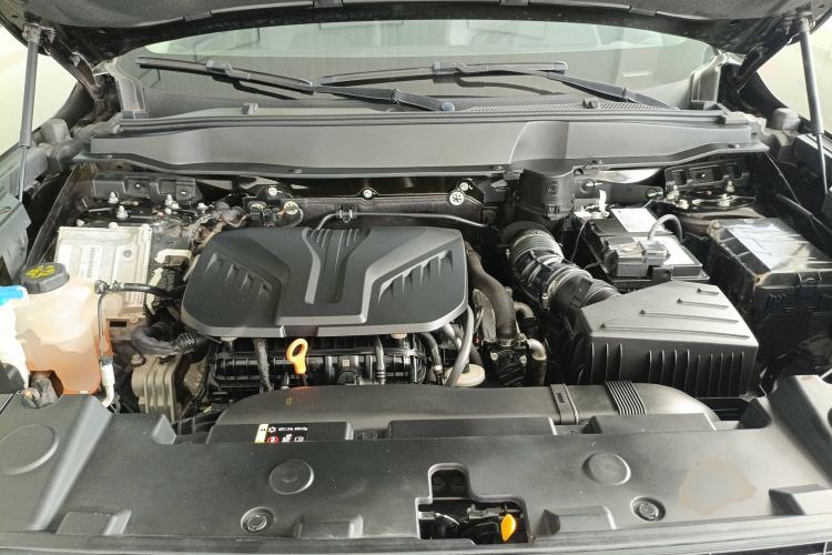 Used Haval DARGO 2021 2.0T DCT 4x4 Chinese Rural Dog Edition
