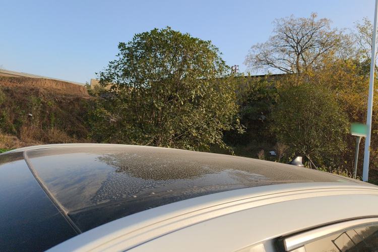 Used Ford Escape 2020 EcoBoost 245 Two-Wheel-Drive Titanium Edition
