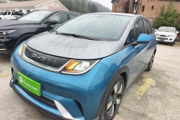 Used BYD Dolphin 2021 401km Knight Edition