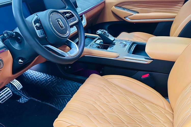 Used Tank 500 New Energy 2025 Hi4-Z
