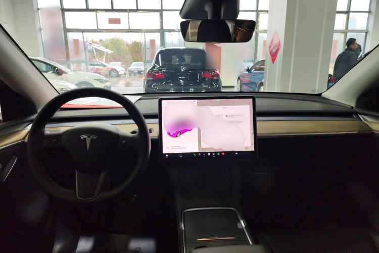 Used Tesla Model Y 2021 Standard Range Rear-Wheel Drive Version
