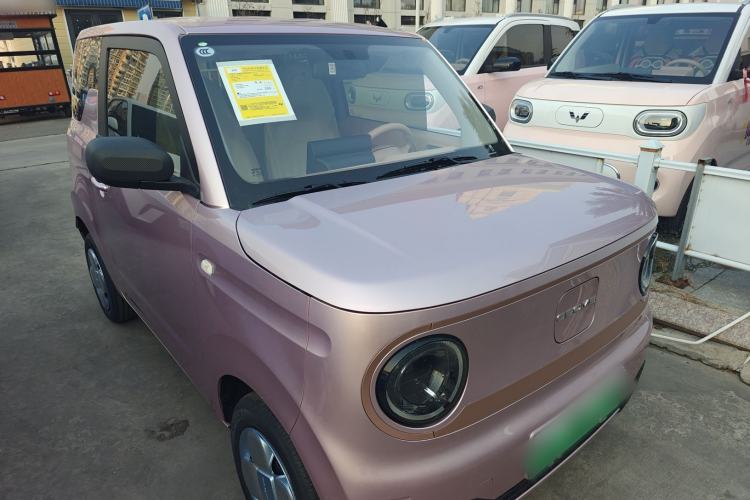 Used  Panda 2024 Panda Mini 200km Endurance Bear
