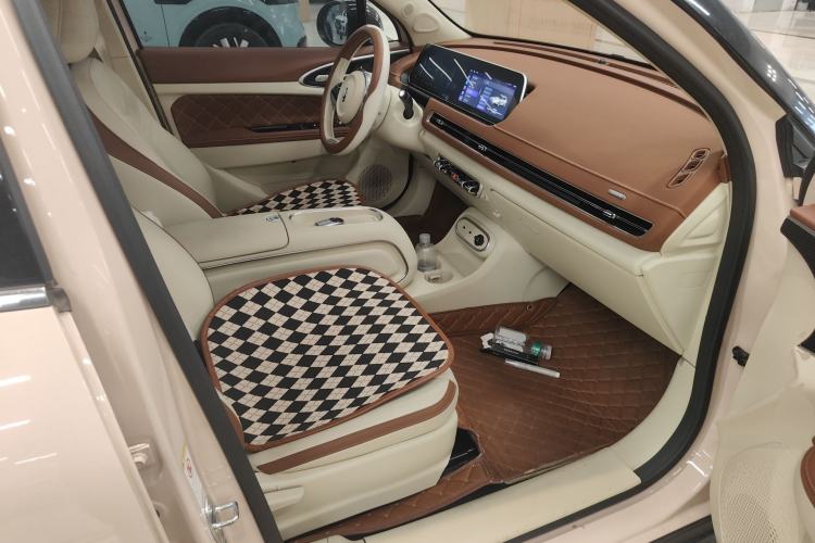 Used ORA Good Cat 2023 401 km Standard Range Luxury Version Ternary Lithium
