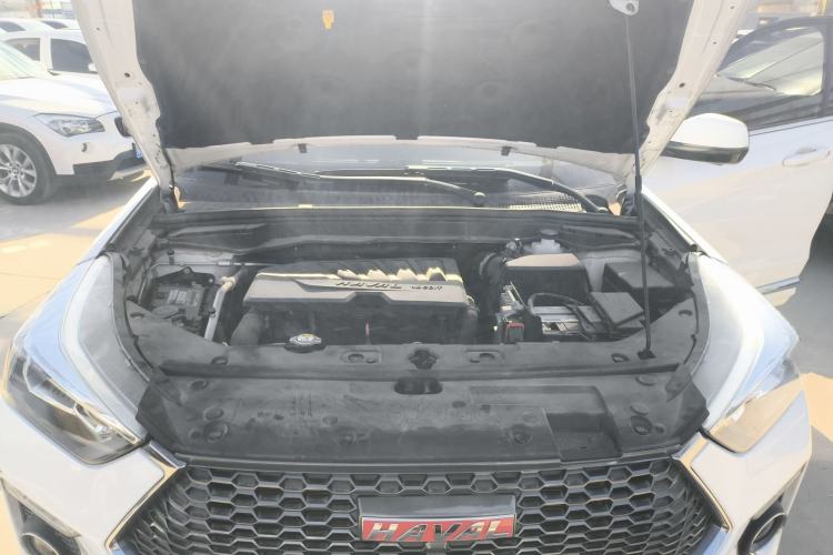 Used Haval H6 Coupe 2018 Red-Label 1.5T Automatic Two-Wheel Drive Ultra-Luxury Model
