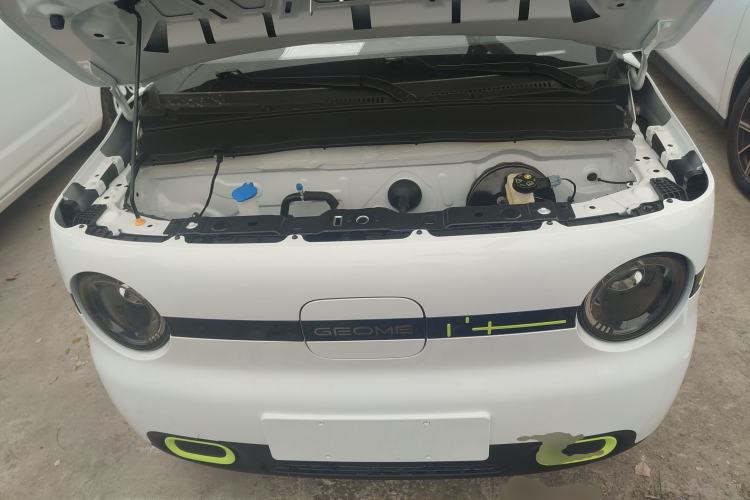 Used  Panda 2025 210 km – Yuanqi Bear
