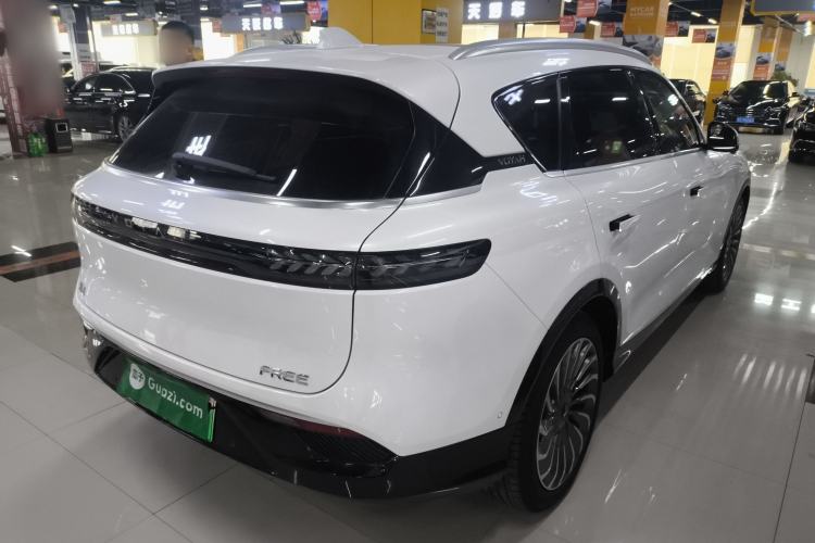 Used VOYAH FREE 2021 Two-Wheel Drive Standard Pure Electric City Edition