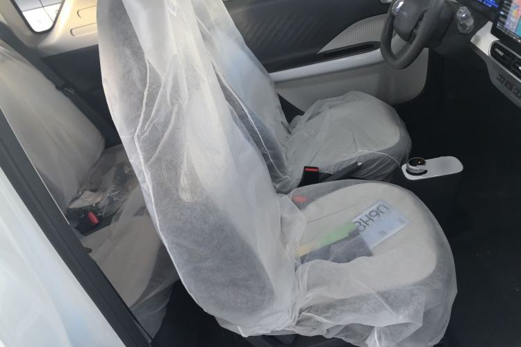 Used  Panda 2025 210 km – Yuanqi Bear