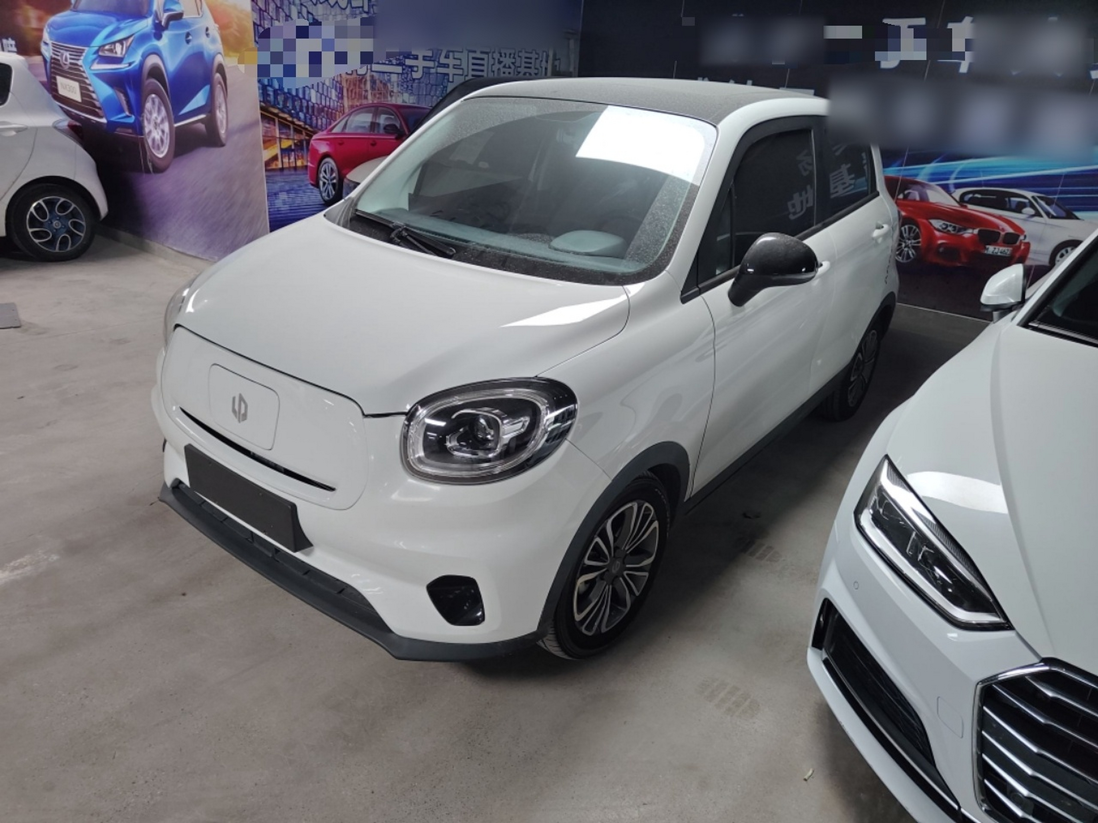 تحت مقدمة السيارة