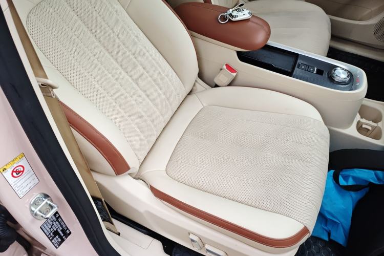 Used ORA Good Cat 2022 400km Standard Range Premium Version Lithium-Ion Battery
