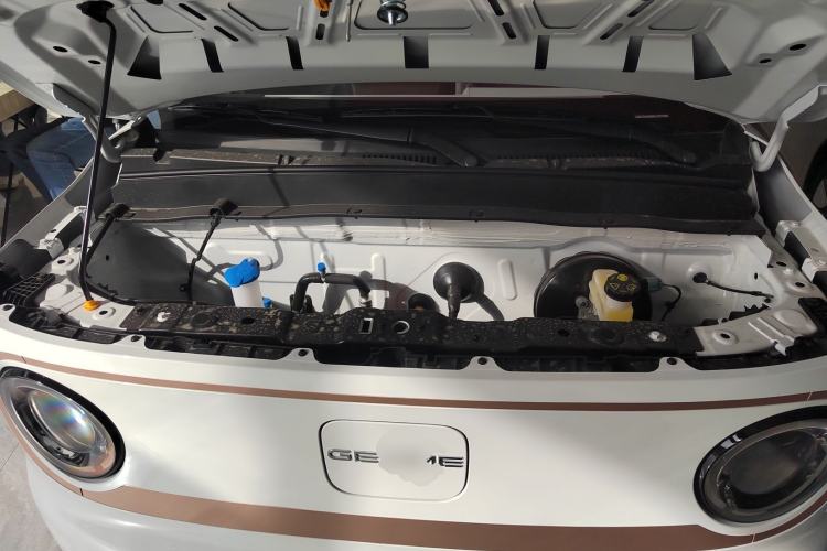 Used  Panda 2024 Panda Mini 200km Endurance Bear