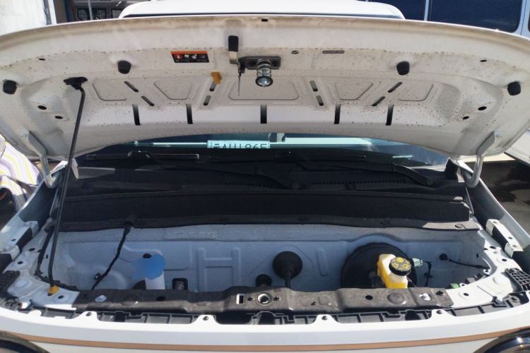 Used  Panda 2023 Panda Mini 200km Endurance Bear
