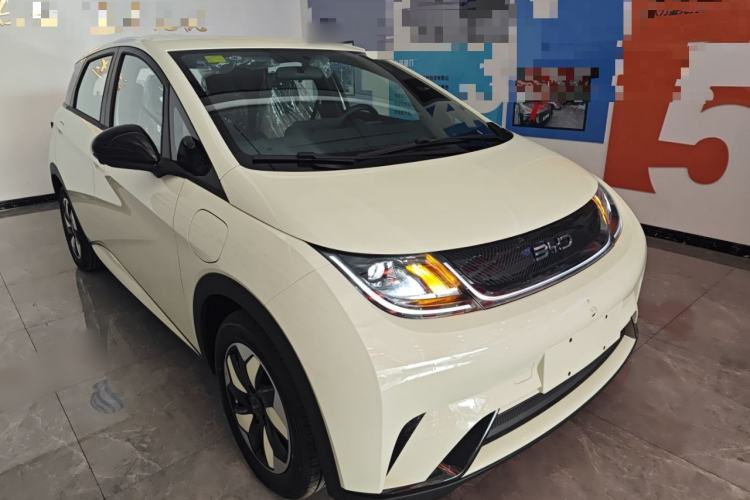 Used BYD Dolphin 2025 420km Free Edition
