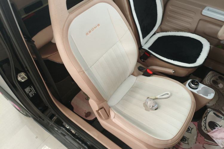 Used  Panda 2024 200km Panda Kart
