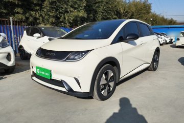 Used BYD Dolphin 2023 420 km Fashion Edition