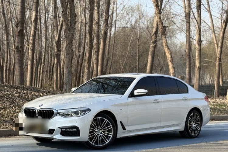 Used BMW 5 Series 2018 530Li Luxury Edition M Sport Package