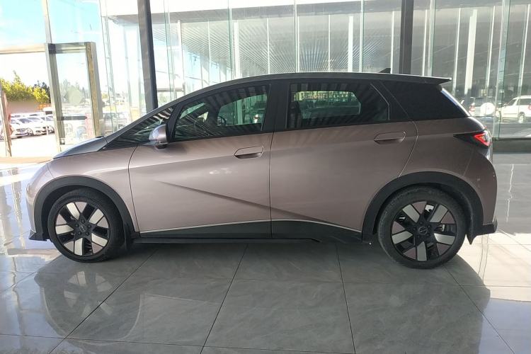 Used BYD Dolphin 2021 401km Knight Edition
