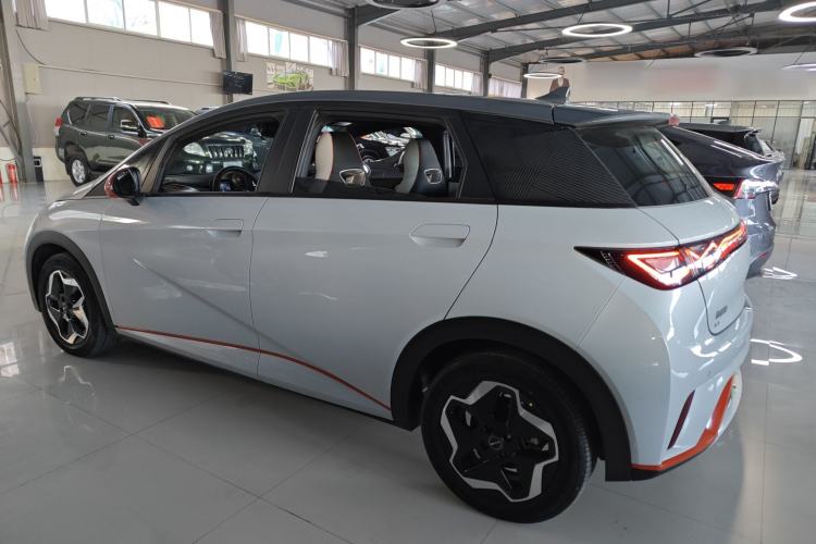 Used BYD Dolphin 2021 405 km Fashion Edition
