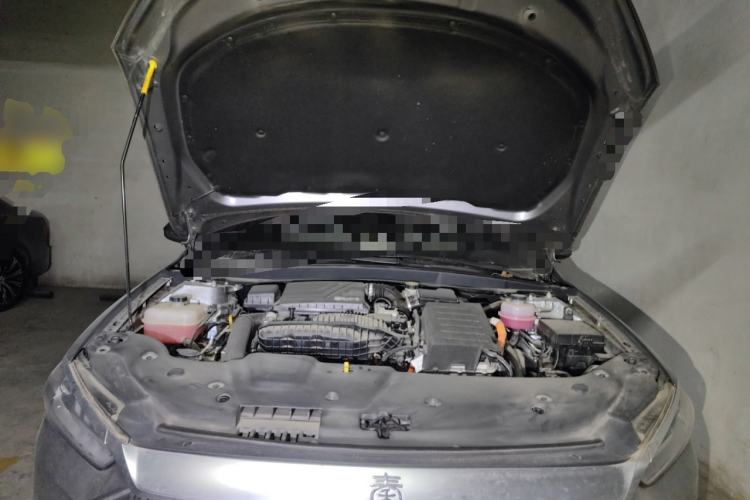 Used BYD Qin PLUS 2023 Champion Edition DM-i 55KM Leading Model
