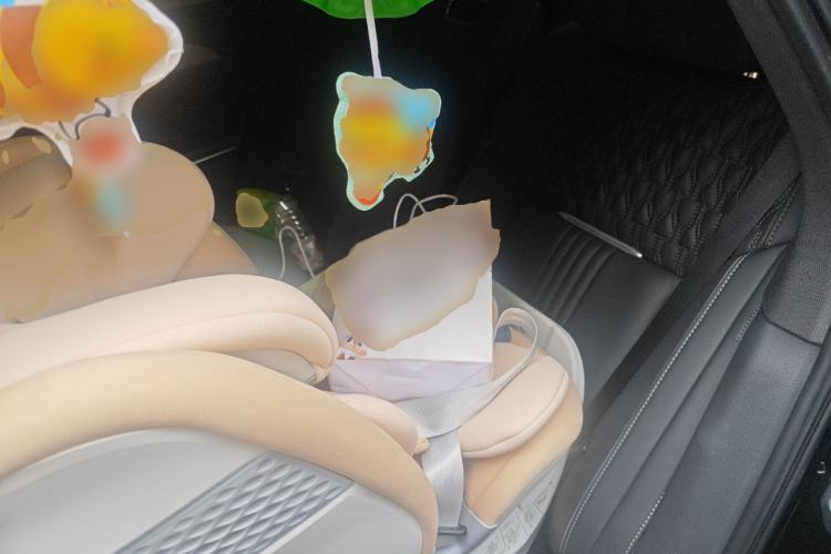 Used Hongqi H9 2020 2.0T Smart Connect Flagship Edition