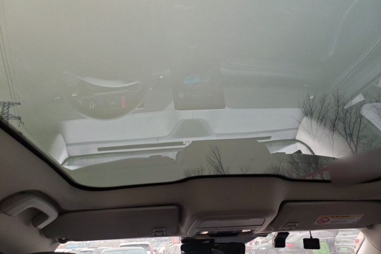 Used Ford Mustang Mach-E 2021 AION Y Plus Rear-Drive Luxury Edition (Long Range)
