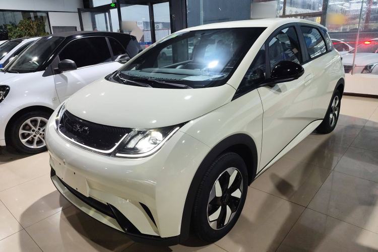 Used BYD Dolphin 2025 420km Free Edition
