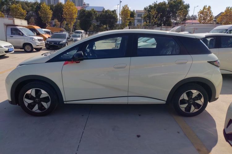 Used BYD Dolphin 2025 420km Free Edition
