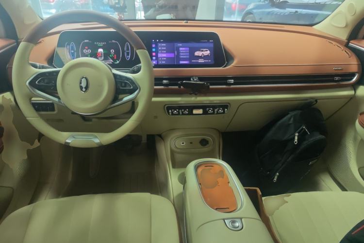 Used ORA Good Cat 2023 401 km Standard Range Luxury Version Lithium Iron Phosphate
