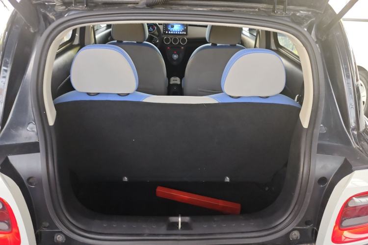 Used ORA Black Cat 2019 351 km Lingzhi Edition
