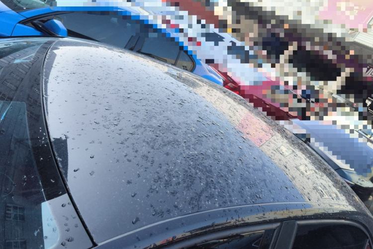 Used Volkswagen Santana 2016 1.6L Manual Fashion Edition
