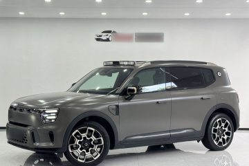 Used smart #5 2024 Jungle Realm Limited Edition